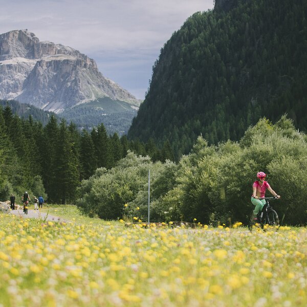 Pista ciclabile delle Dolomiti in Val di Fassa | © Federico Modica - Archivio Immagini ApT Val di Fassa