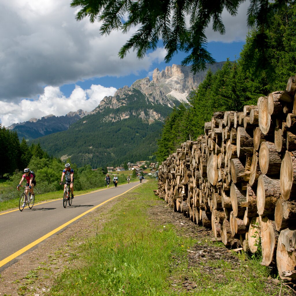 Pista ciclabile ocn tronchi di legno a lato e persone che si muovono in bicicletta con le dolomiti di fassa sullo sfondo | © Archivio Immagini ApT Val di Fassa - Nicola Angeli
