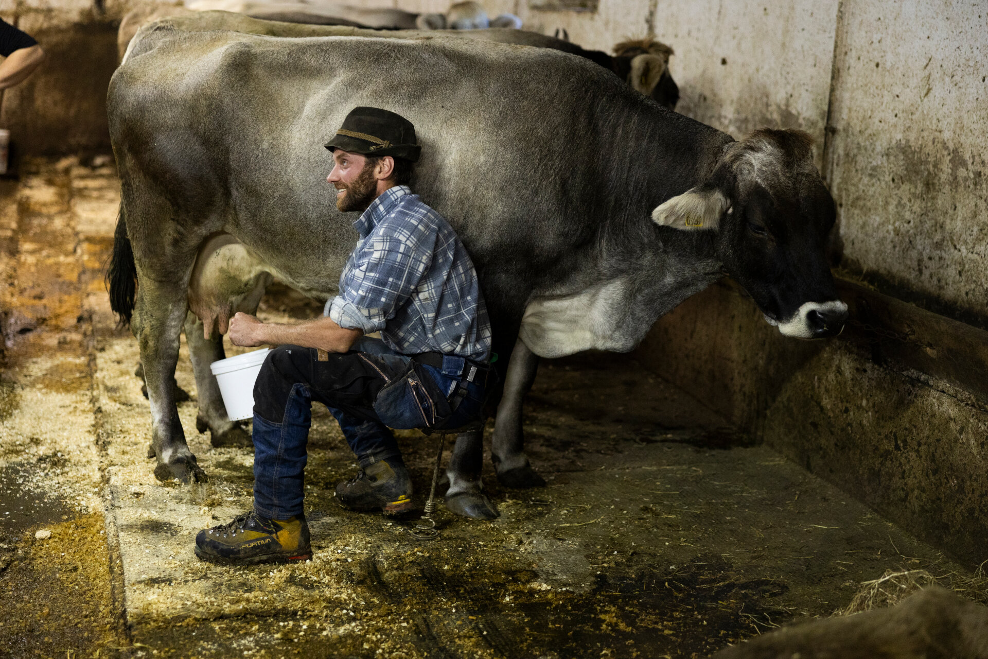 ApTValdiFassa 028 Federico Modica  FMM4201