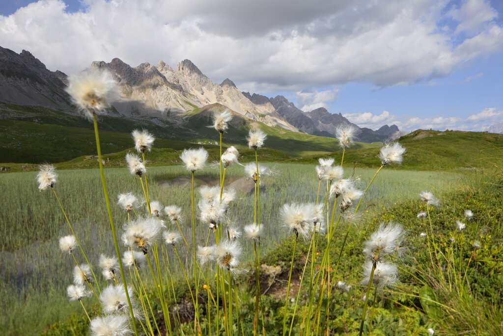 San Pellegrino in Val di Fassa