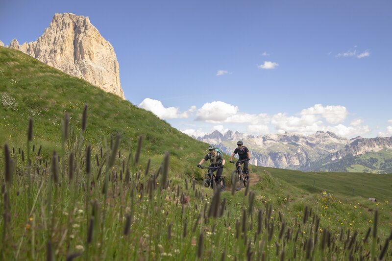 ApTValdiFassa Sottoboscoride Erwin&OlensiaRonzon DSC04569