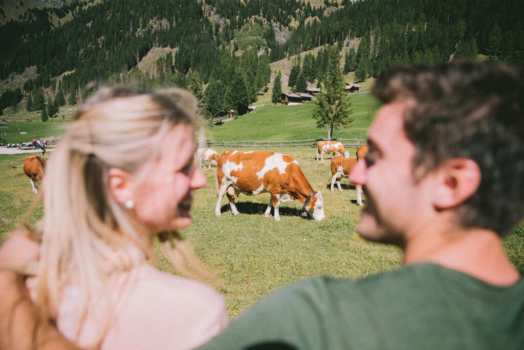Persone sorridenti mentre guardano delle mucche al pascolo in Val San Nicolò in Val di Fassa