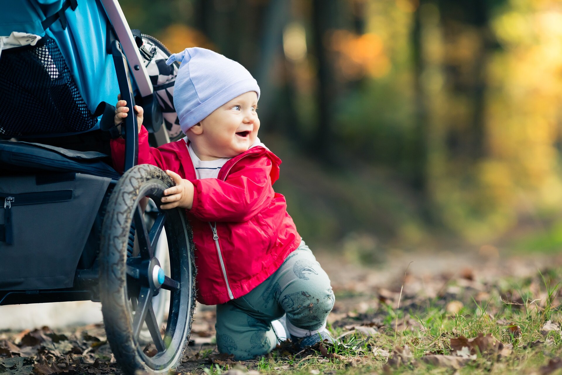 Bambino che gioca con il suo passeggino durante una passeggiata nel bosco | © Archivio Immagini ApT Val di Fassa
