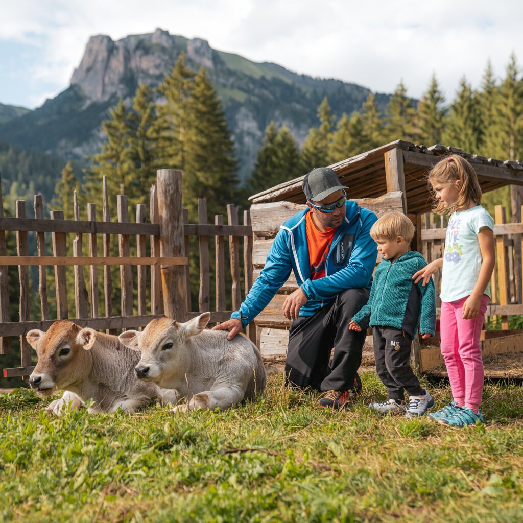 Cosa Fare In Famiglia