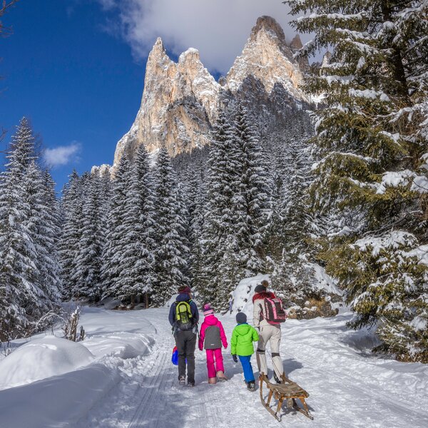 Passeggiate Per Famiglie In Inverno