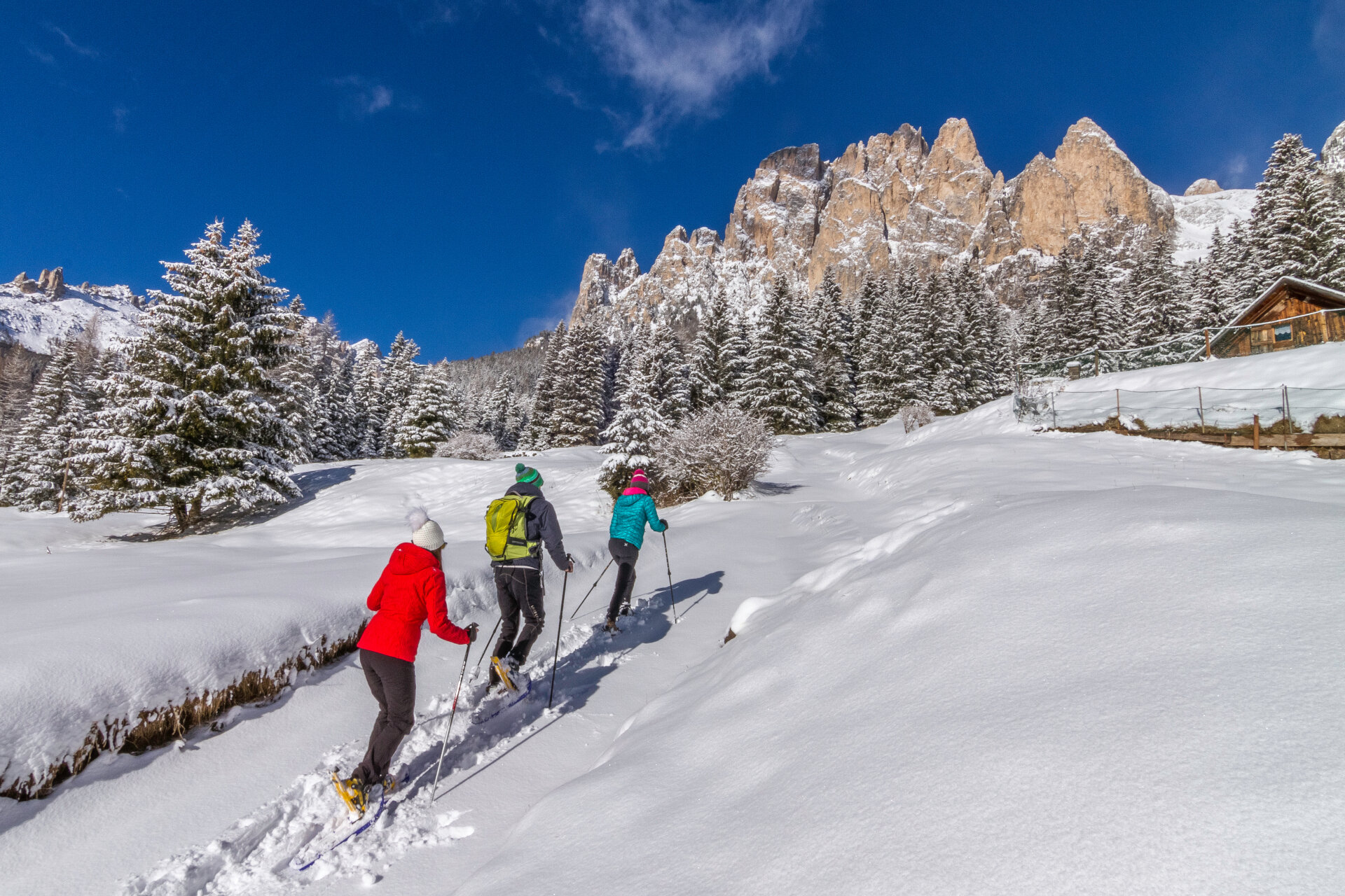 Ciaspolata in Val di Fassa | © Patricia Ramirez  - Archivio Immagini ApT Val di Fassa