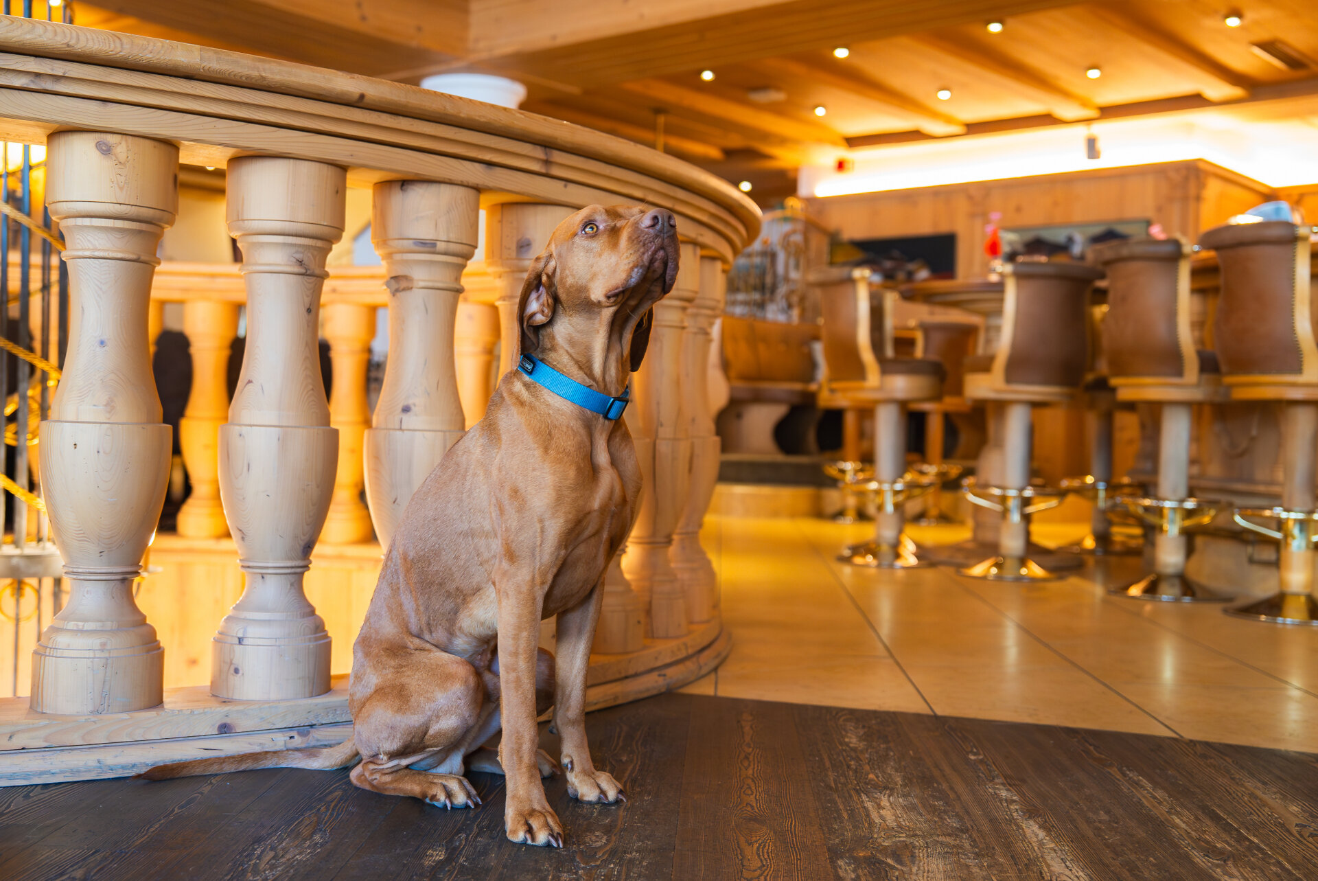 AdobeStock 1342226395