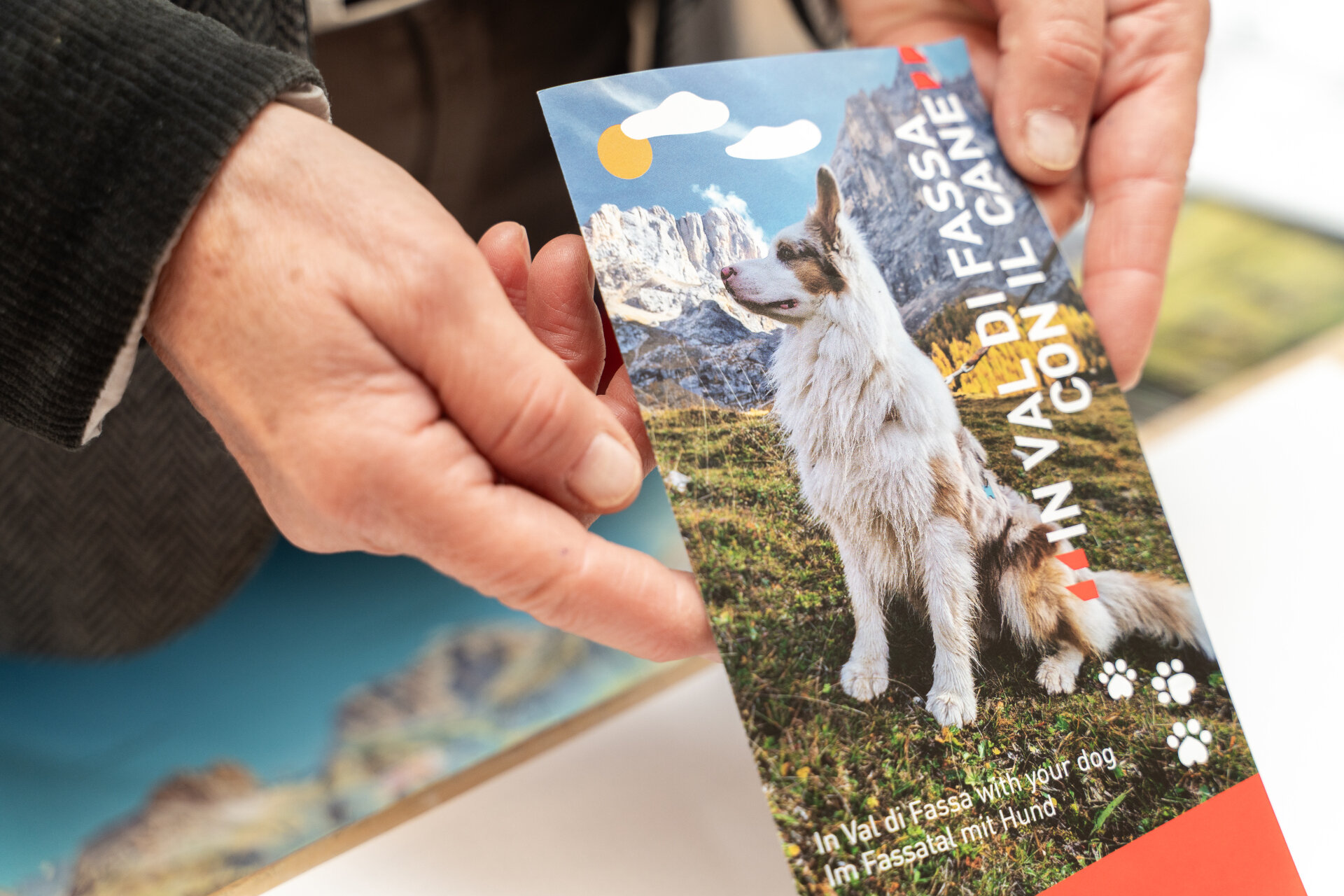 Disciplinare Info Utili