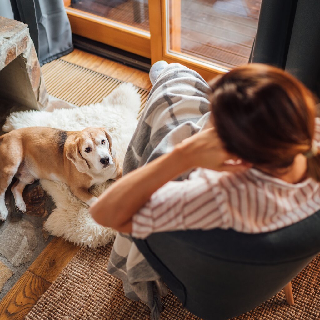 Hotel E Alloggi Che Accettano Animali