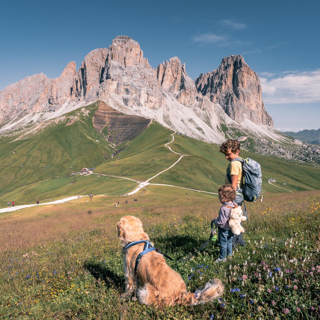 Passeggiate ed escursioni con cane