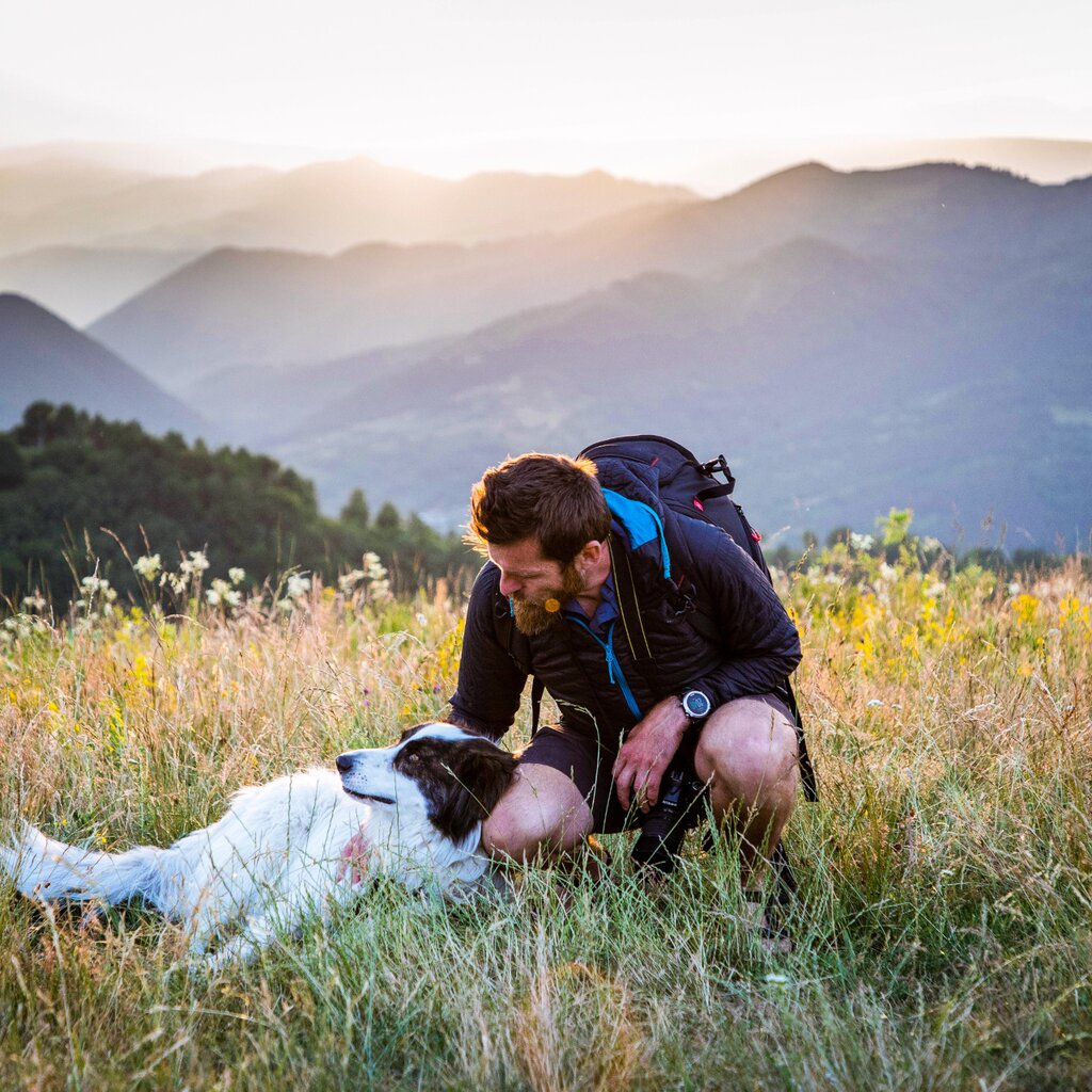 Regole d'oro a quattro zampe