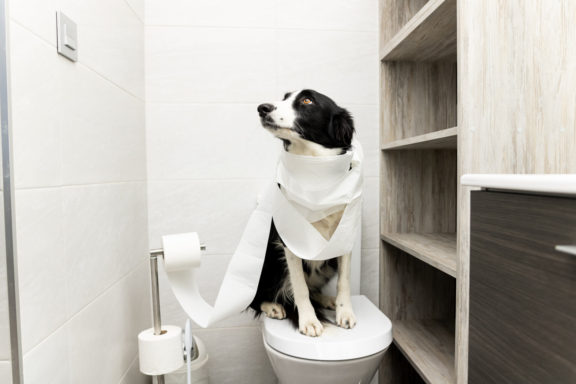 AdobeStock 676892044