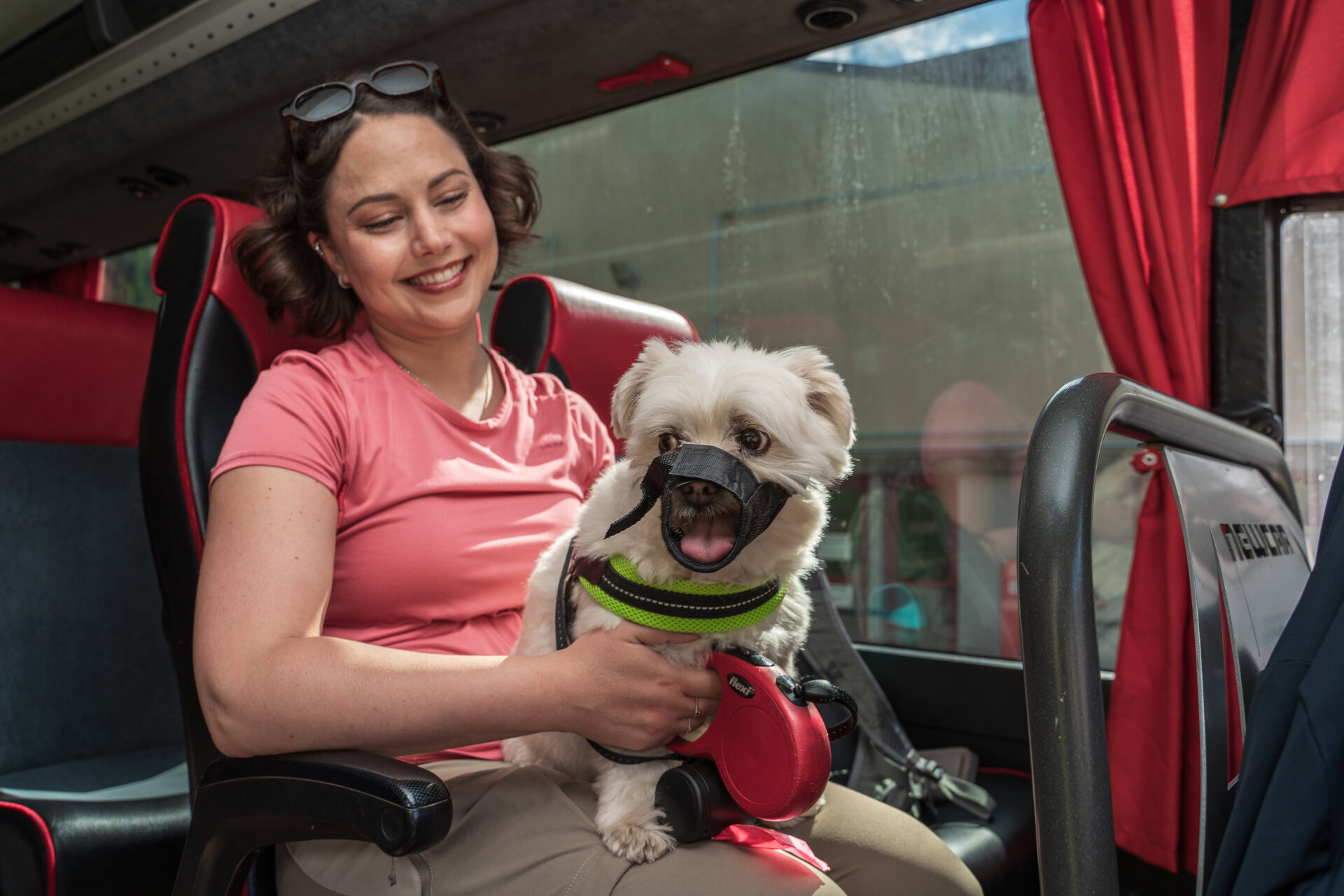 Muoversi In Bus In Valle Con Il Cane