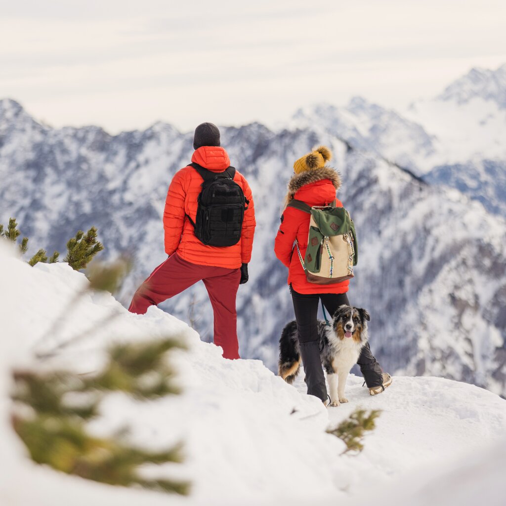 Passeggiate Ed Escursioni Con Cane