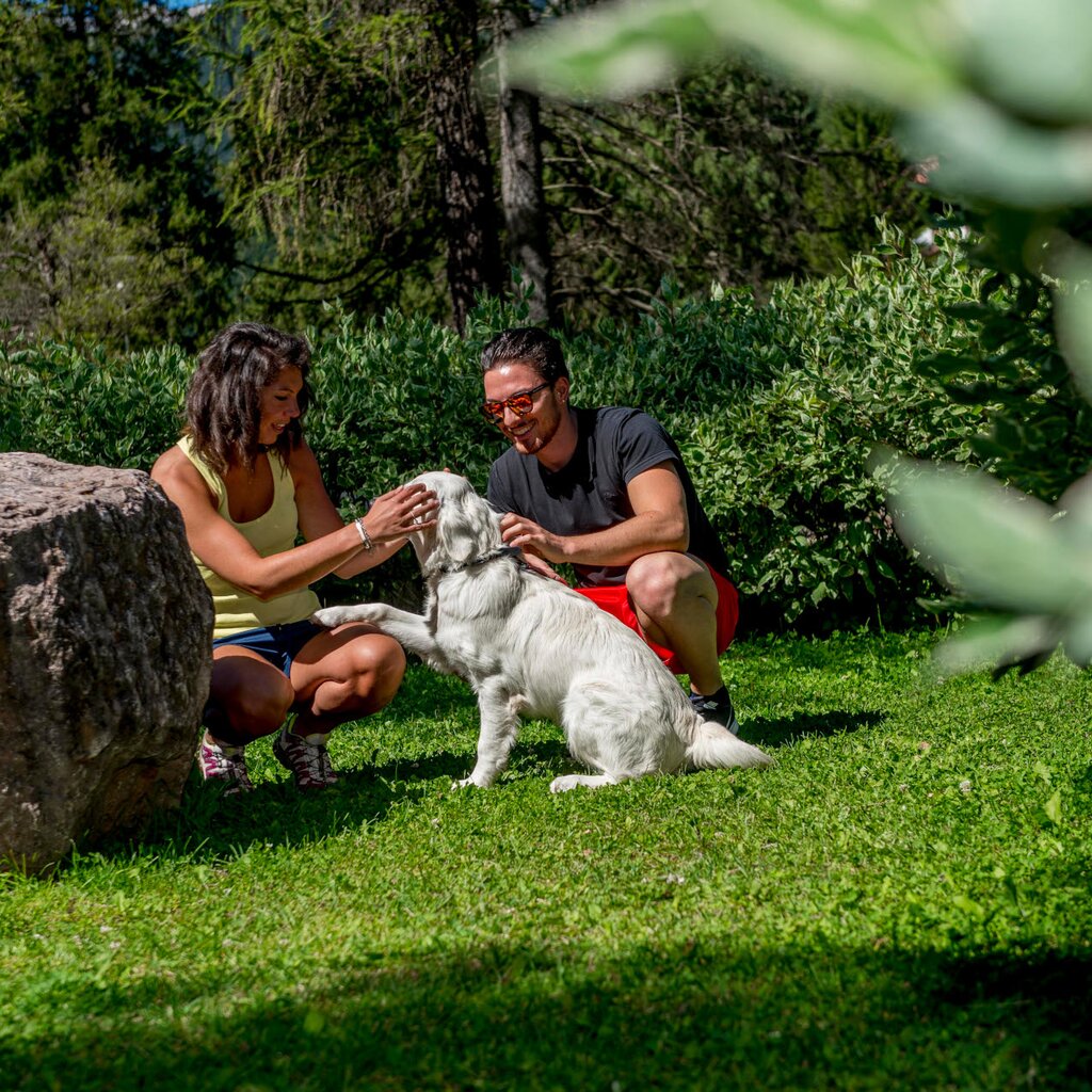 Passeggiate ed escursioni con cane