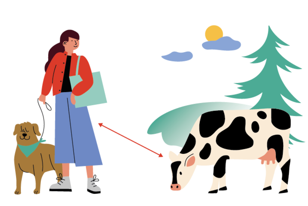 PET Illustrazioni 04