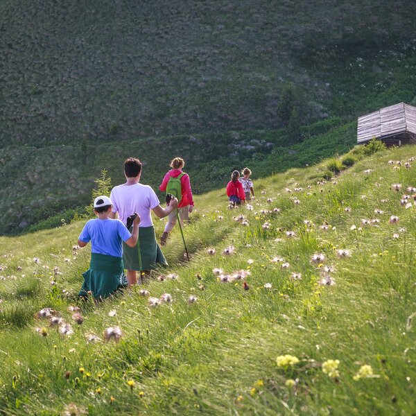 Trekking sulle Dolomiti in Val di Fassa | © Patricia Ramirez  - Archivio Immagini ApT Val di Fassa