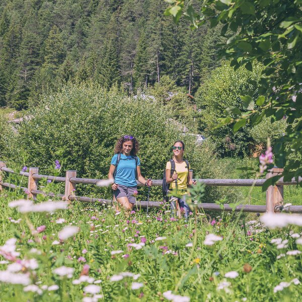 Passeggiata in fondovalle in Val di Fassa | © Patricia Ramirez  - Archivio Immagini ApT Val di Fassa