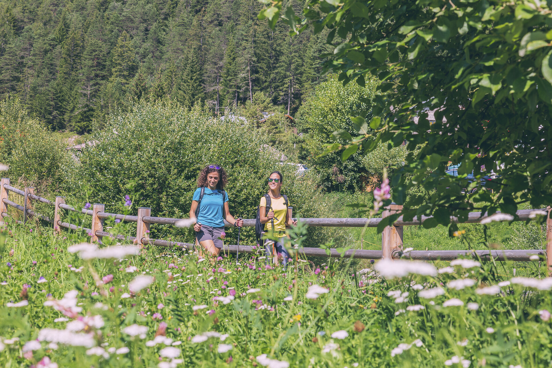 Passeggiata in fondovalle in Val di Fassa | © Patricia Ramirez  - Archivio Immagini ApT Val di Fassa