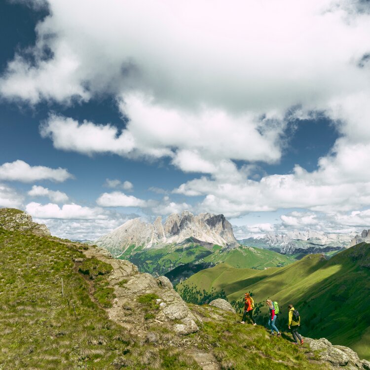 Dolomiti Trek King The Original