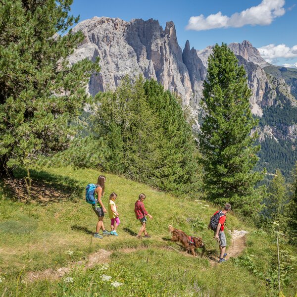 Hiking
