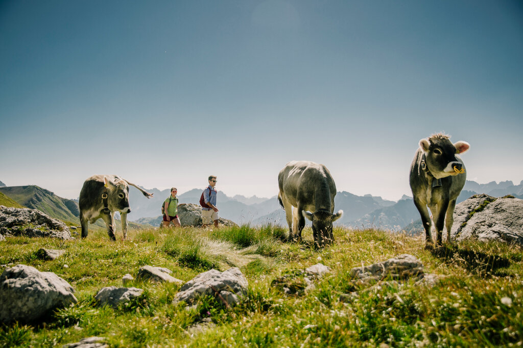 Coppia cammina lungo un sentiero di montagna