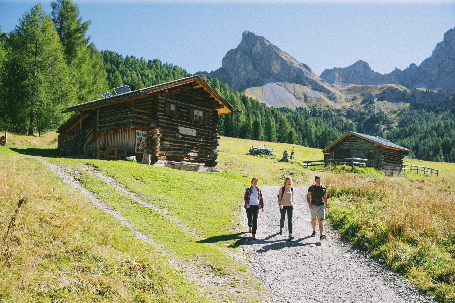 Gruppo di persone scende da una strada forestale tra baite in legno, sullo sfondo, le dolomiti di fassa | © Archivio immagini ApT Val di Fassa - Federico Modica