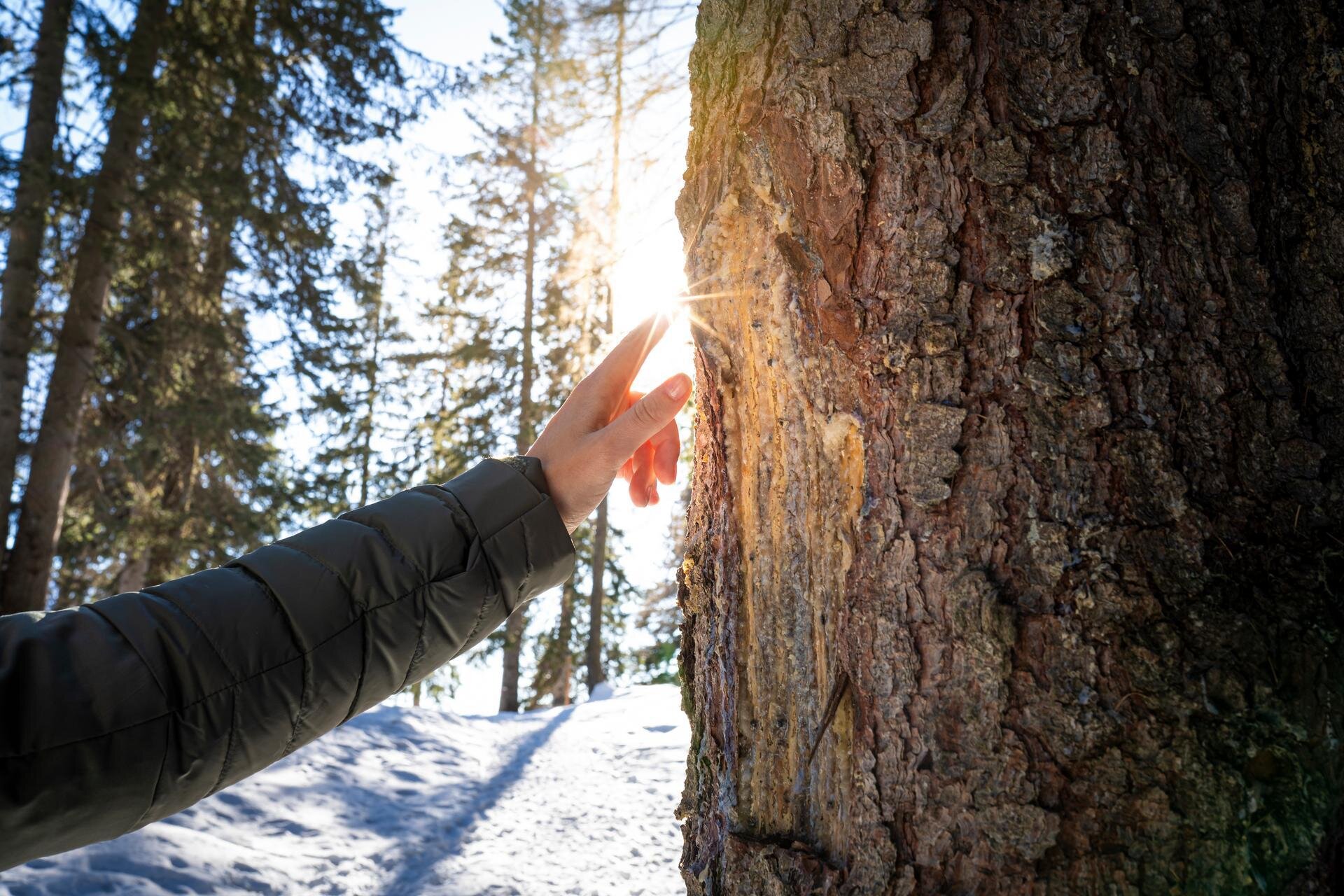 ApTValdiFassa NunatakFilm GiuseppeVettoriphotography 109