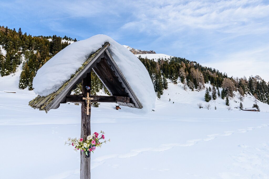 1AdobeStock 431206122