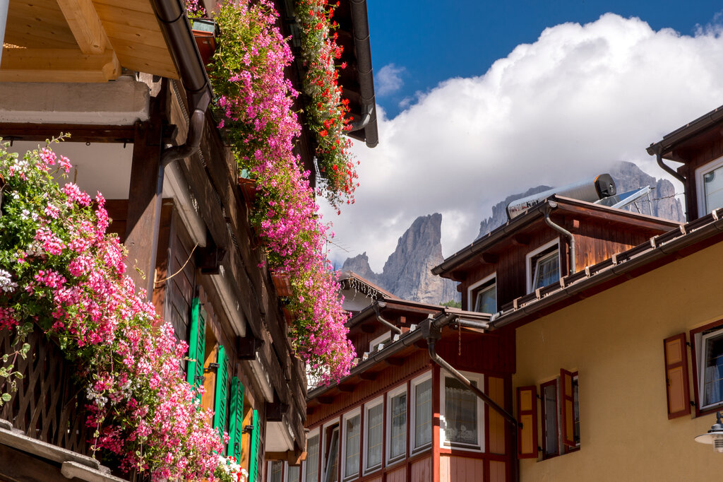 In primo piano balconi fioriti, sullo sfondo le Dolomiti di Fassa | © Mattia Rizzi - Archivio immagini ApT Val di Fassa