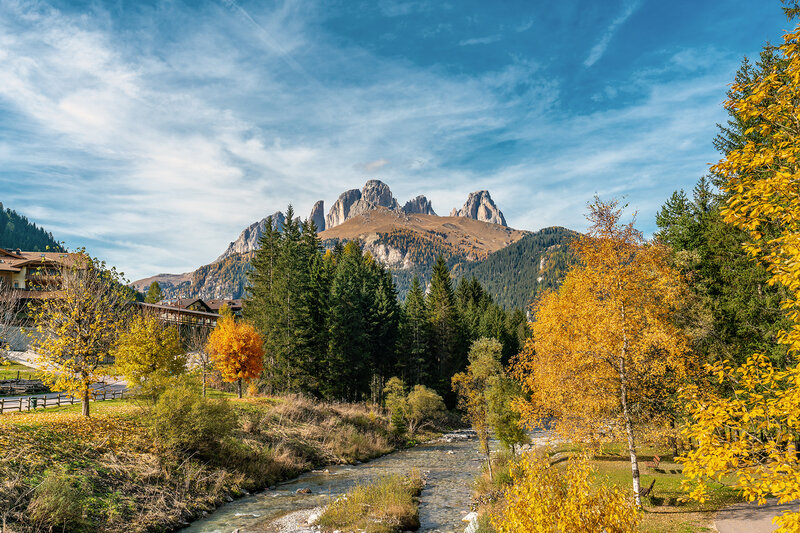 AdobeStock 305920741