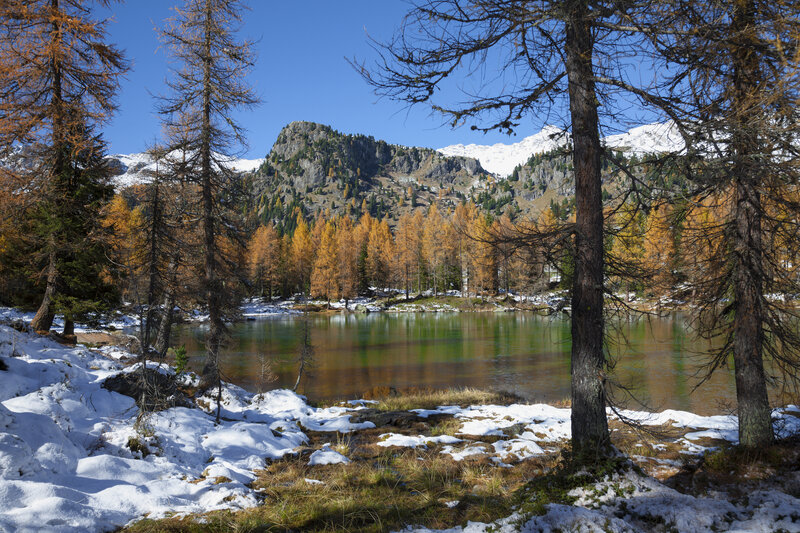 ApTValdiFassa 002 NICOLA ANGELI 646