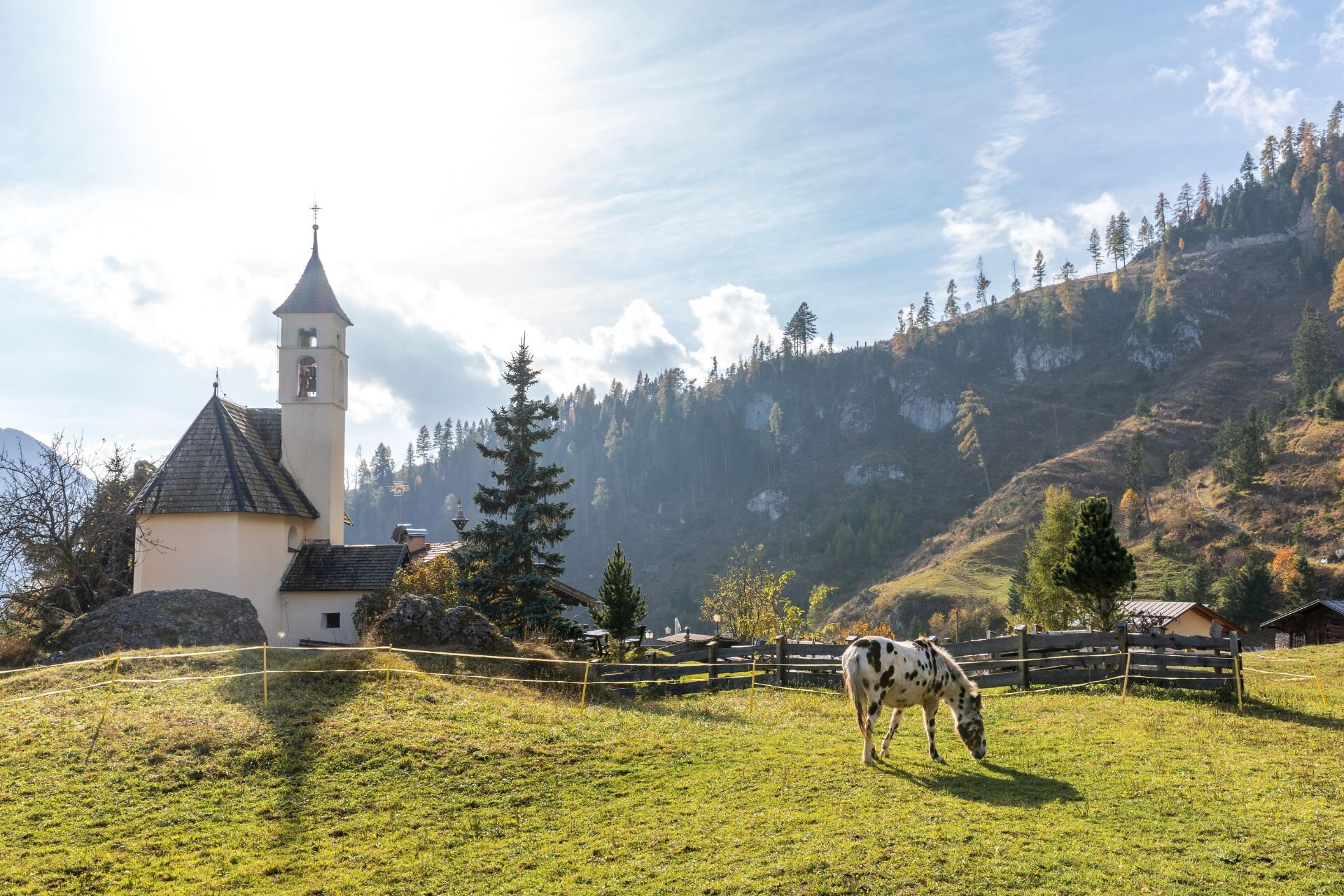 Chiesetta di montagna con un cavallo nel prato | © Archivio Immagini ApT Val di Fassa - Patricia Ramirez