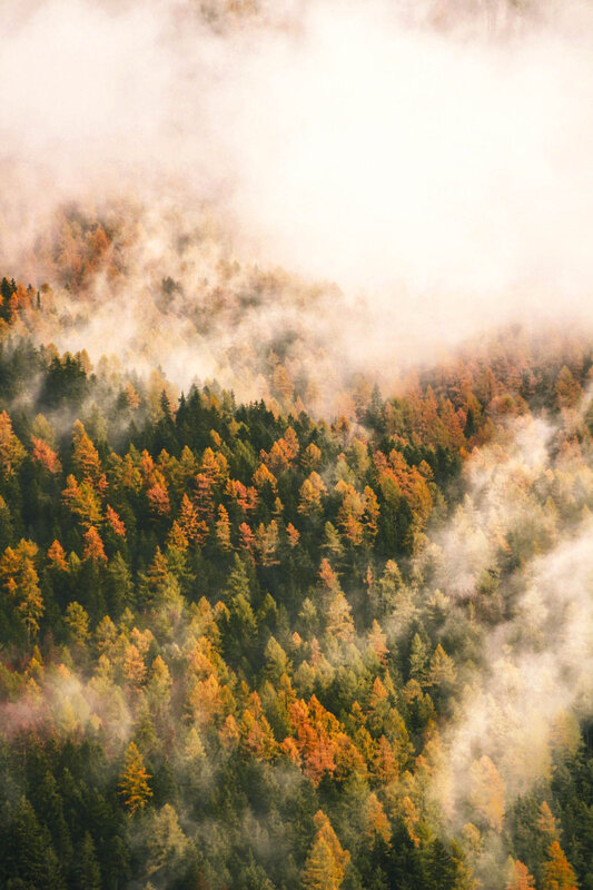 NG Autunno Archivio 7