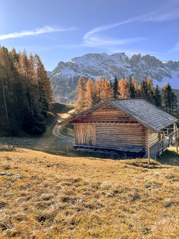 NG Autunno Archivio