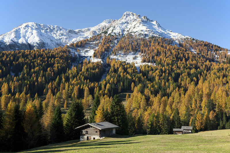 ZApTValdiFassa 002 NICOLA ANGELI 656