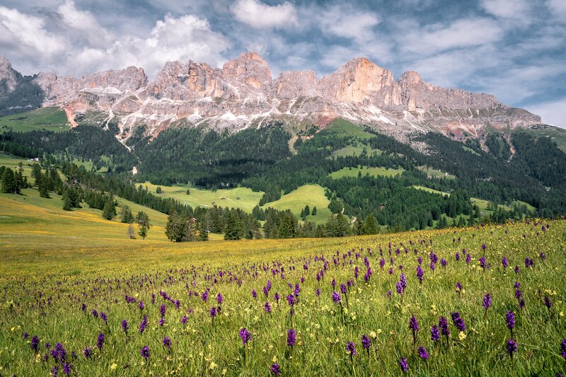 Vista sul Catinaccio e il Passo Costalunga dall'alto | © Patricia Ramirez - Archivio Immagini ApT Val di Fassa