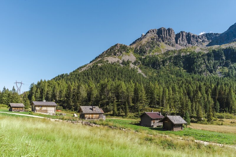 Baite immerse nel verde del Passo San Pellegrino, in Val di Fassa | © Patricia Ramirez - Archivio Immagini ApT Val di Fassa