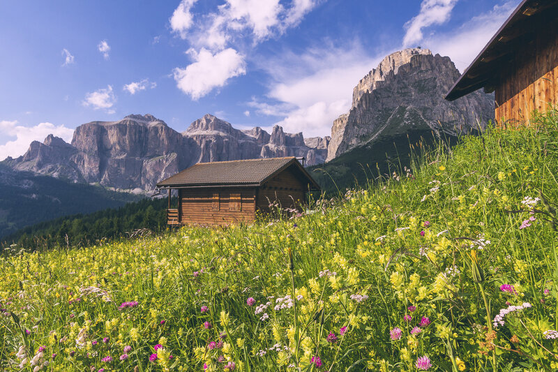 Primavera in Val di Fassa | © Patricia Ramirez - Archivio Immagini ApT Val di Fassa