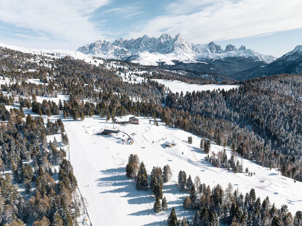 Archivio Alpe Lusia Bellamonte Ph GPanozzo DJI 0077
