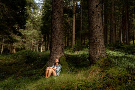 Forest Bathing nei boschi della Val di Fassa