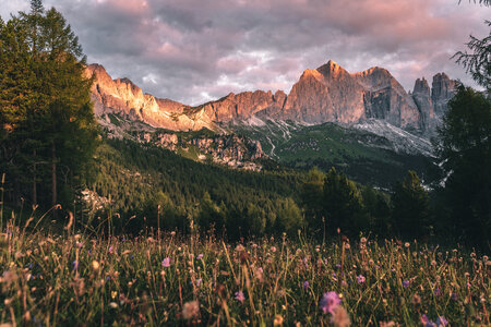 Enrosadira sul gruppo del Catinaccio in Val di Fassa