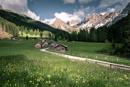 Primavera in Val San Nicolò in Val di Fassa