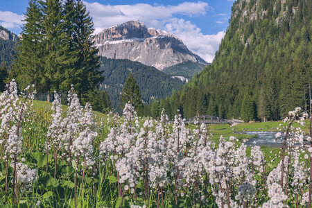 Primavera a Mazzin in Val di Fassa