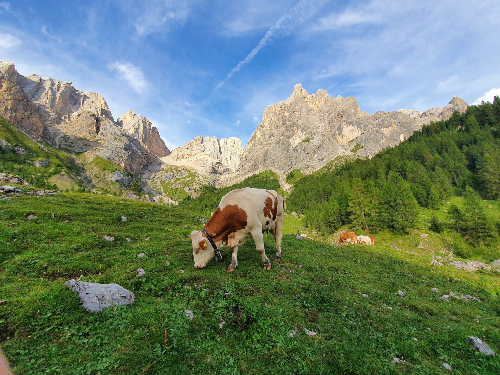 Last Rays Of Sunshine In A Mountain Dairy   Malga Contrin
