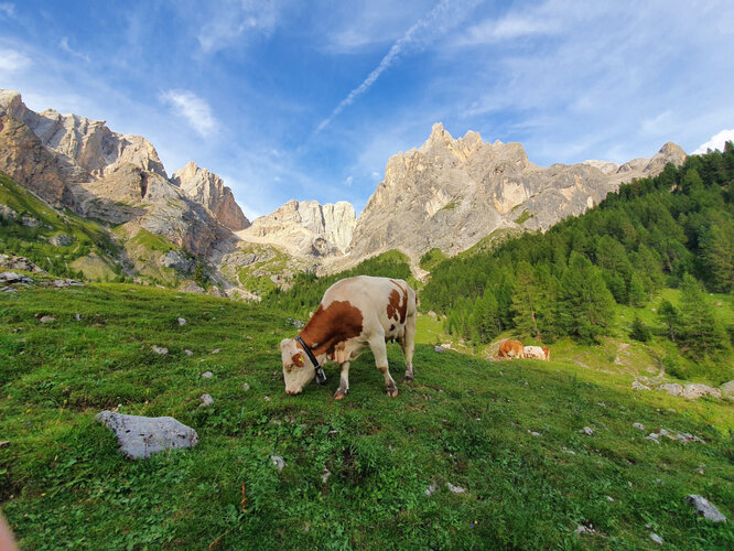 Ultimi Raggi Di Sole In Alpeggio Alla Malga Contrin
