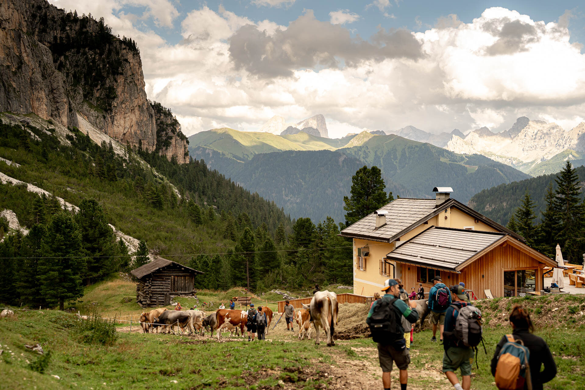 Last Rays Of Sunshine In A Mountain Dairy   Malga Couler
