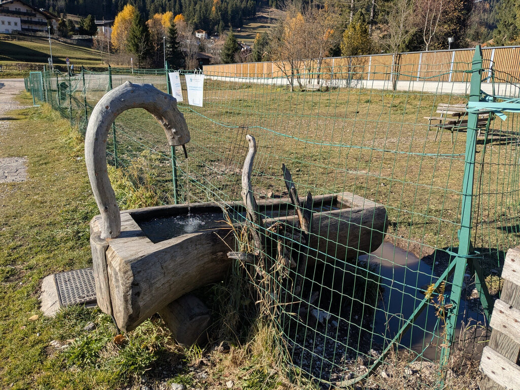 Content Dam Org 3 Images Full Rights Servizi Aree Sgambamento Cani Area Sgambamento Cani Pozza 2