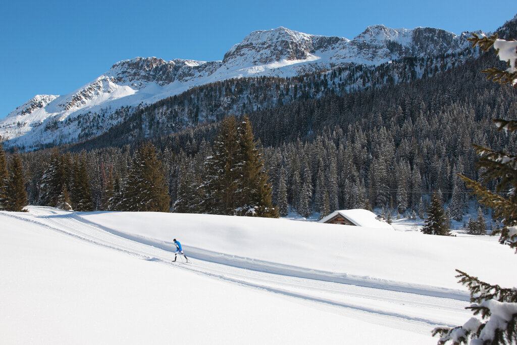 Content Dam Org 3 Images Full Rights Outdoor Sci Di Fondo Centro Fondo Alochet Moena San Pellegrino Aptvaldifassa 02 Nicola Angeli 290