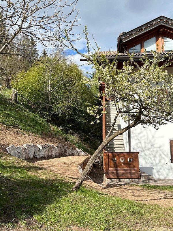 Delladio Marisa   Ciasa Tal Doz